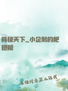 阵惊天下