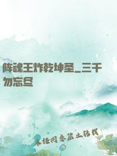 阵魂王炸乾坤圣