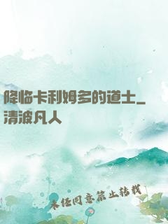 降临卡利姆多的道士