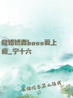 隐婚娇妻boss爱上瘾