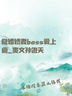 隐婚娇妻boss爱上瘾