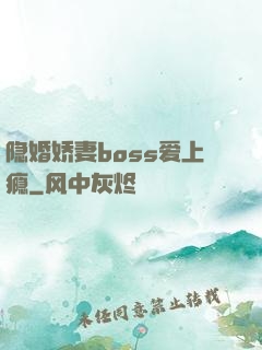 隐婚娇妻boss爱上瘾