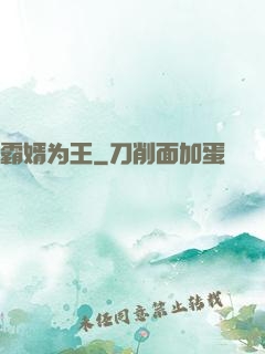 霸婿为王