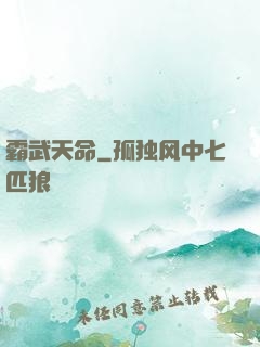 霸武天命