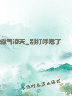 霸气凌天