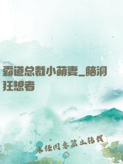 霸道总裁小萌妻