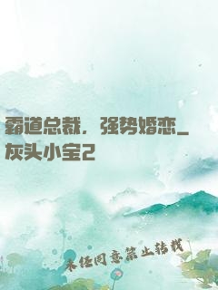 霸道总裁，强势婚恋