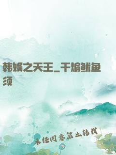 韩娱之天王
