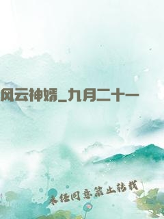 风云神婿