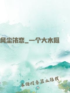 风尘依恋