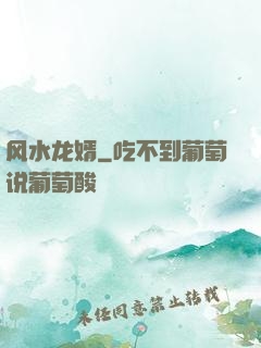 风水龙婿