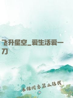 飞升星空