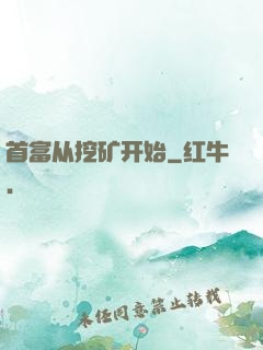 首富从挖矿开始