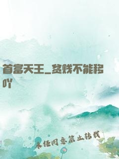 首富天王
