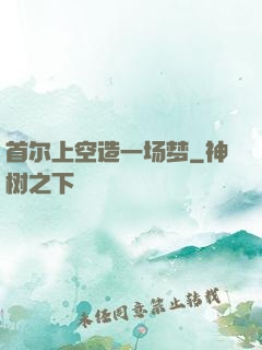 首尔上空造一场梦