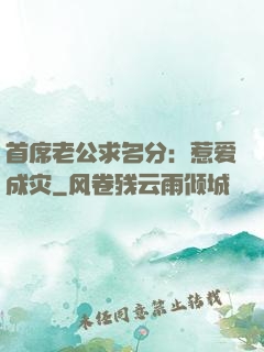 首席老公求名分：惹爱成灾