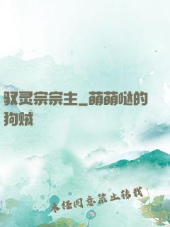 驭灵宗宗主