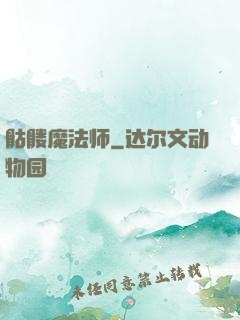 骷髅魔法师