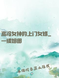高冷女神的上门女婿