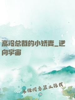 高冷总裁的小娇妻