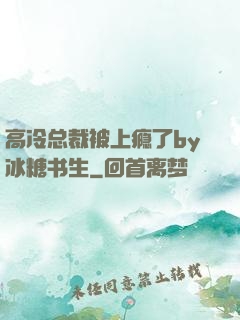 高冷总裁被上瘾了by冰糖书生