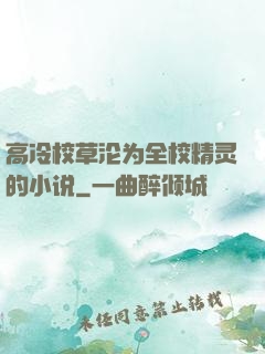 高冷校草沦为全校精灵的小说