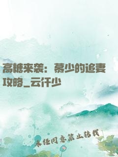 高糖来袭：慕少的追妻攻略