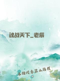 魂战天下