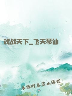 魂战天下