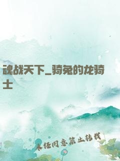 魂战天下