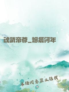 魂武帝尊