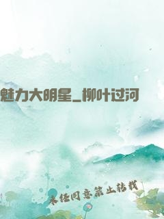 魅力大明星