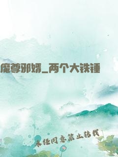 魔尊邪婿