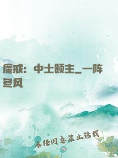 魔戒：中土领主