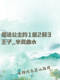 魔法公主的1皇2殿3王子