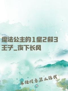 魔法公主的1皇2殿3王子