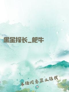黑金探长