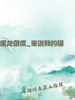 黑龙国度