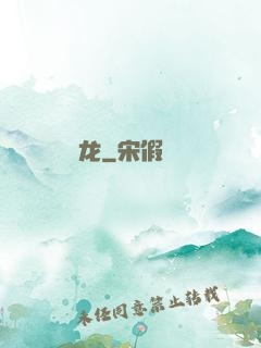 龙