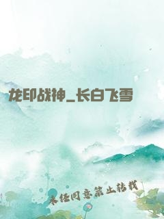 龙印战神