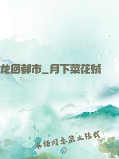 龙回都市