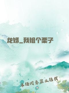 龙婿
