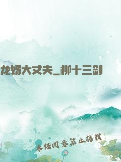 龙婿大丈夫