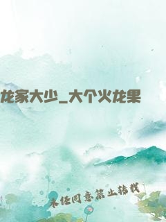龙家大少