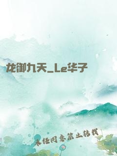 龙御九天