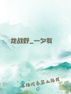龙战野