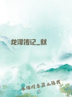 龙泽传记