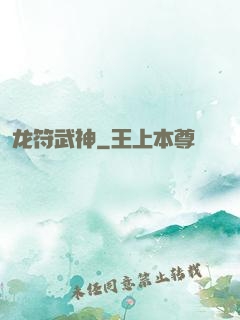 龙符武神