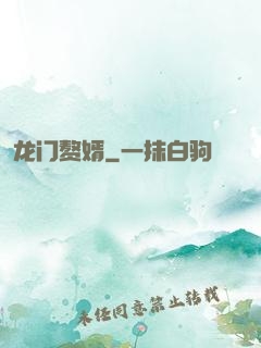 龙门赘婿