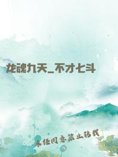 龙魂九天